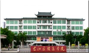 Youjiang Medical University for Nationalities