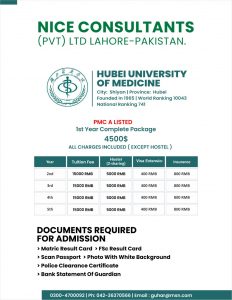 Hubei-University-of-Medicine